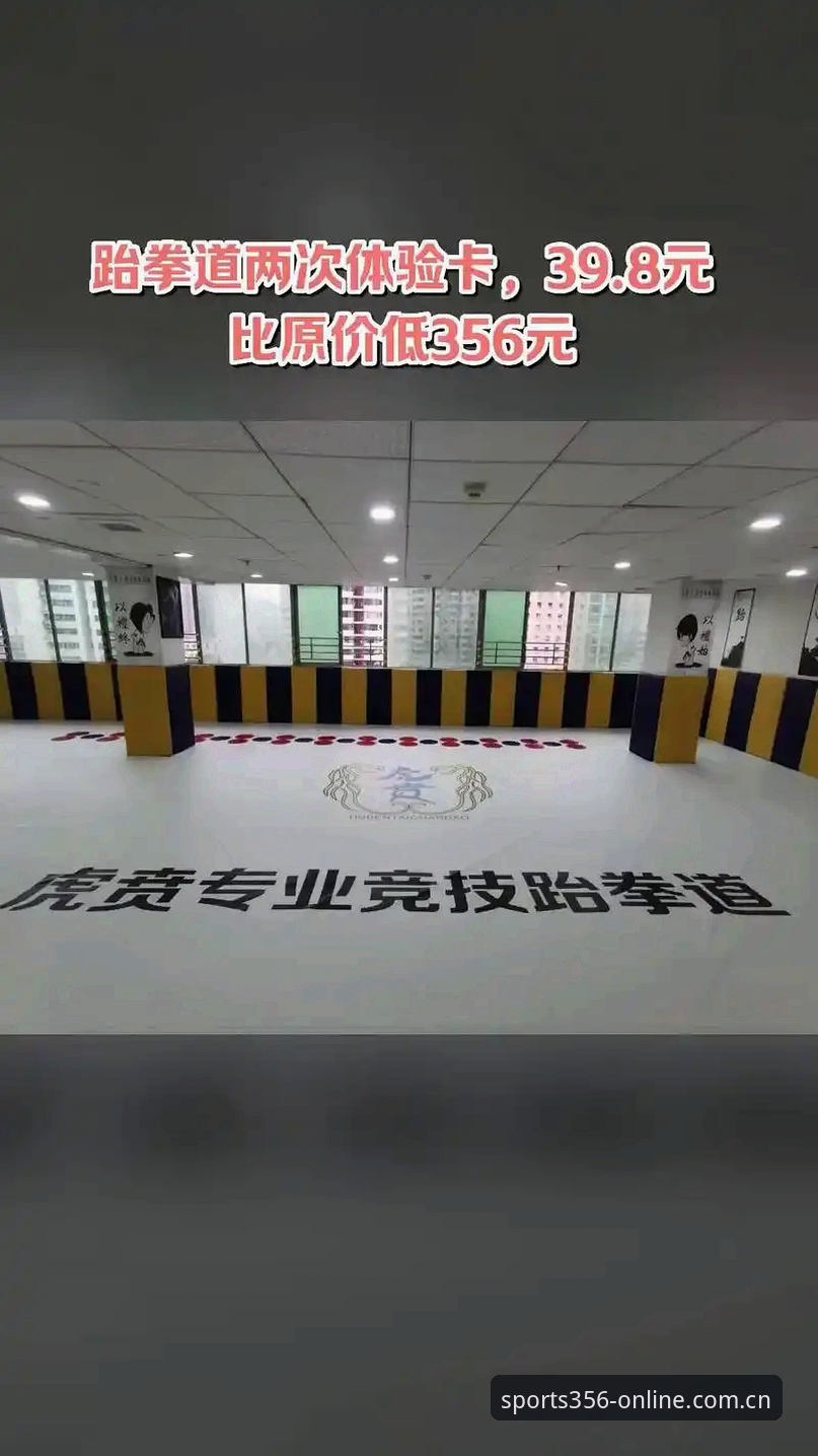 356体育官网入口实用指南：2025最新版本安装与体验全解析